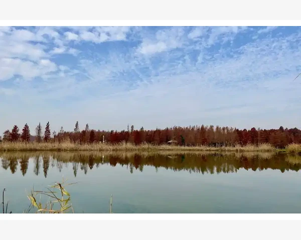 吃完湖蟹如何驱寒，保暖养生提神，中医科普揭秘
